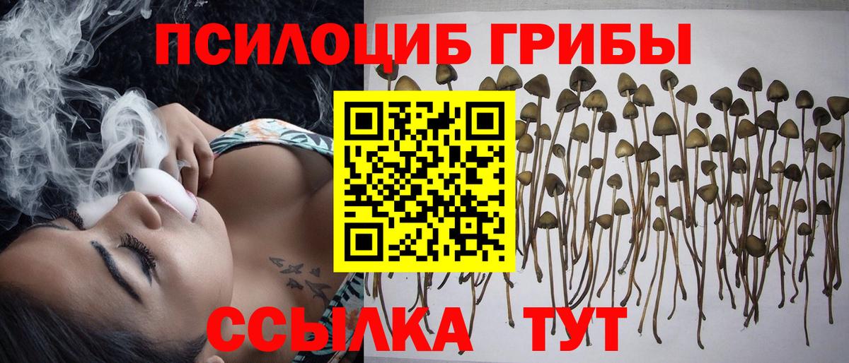 Малгобек  Галлюциногенные грибы прущие грибы  Галлюциногенные грибы GOLDEN TEACHER  Вход с VPN 