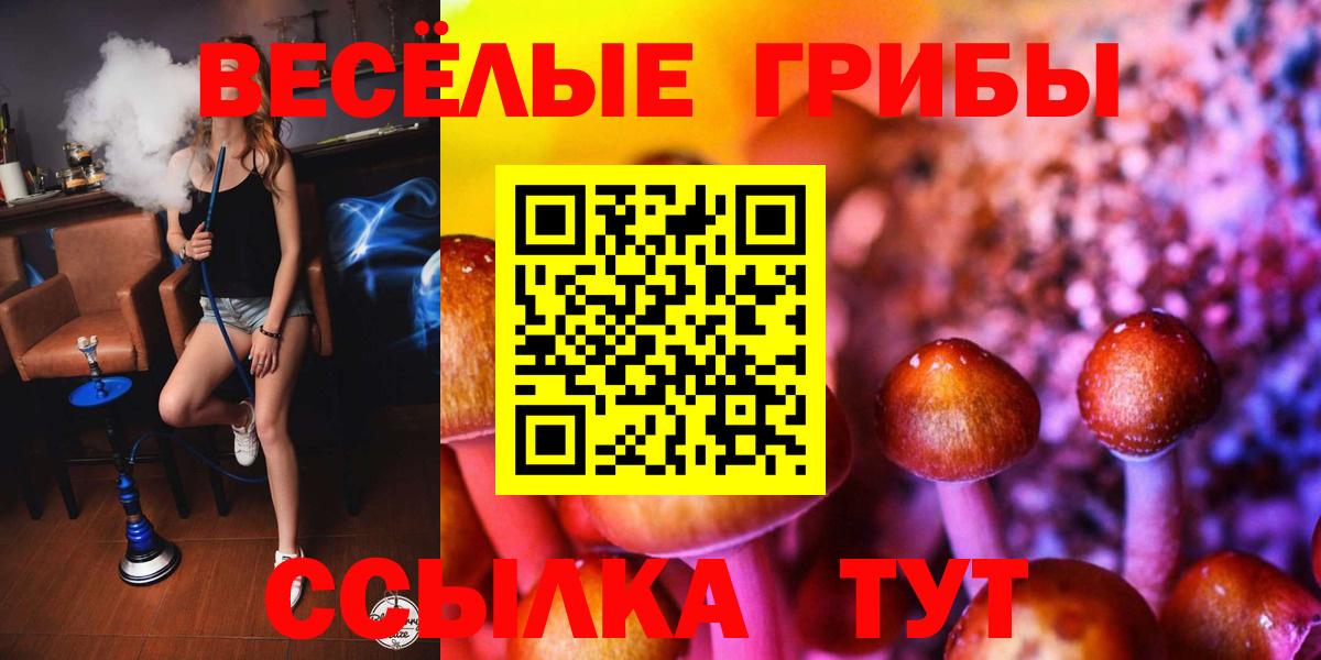 Галлюциногенные грибы мухоморы Малгобек
